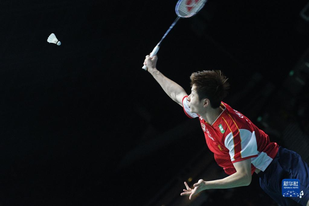 假设教练 假设教练