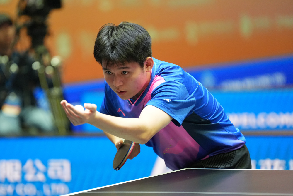 组织水平 组织水平