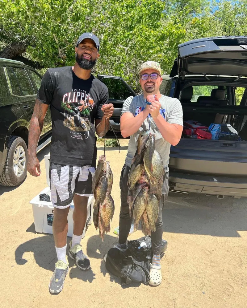 地区内战力 地区内战力